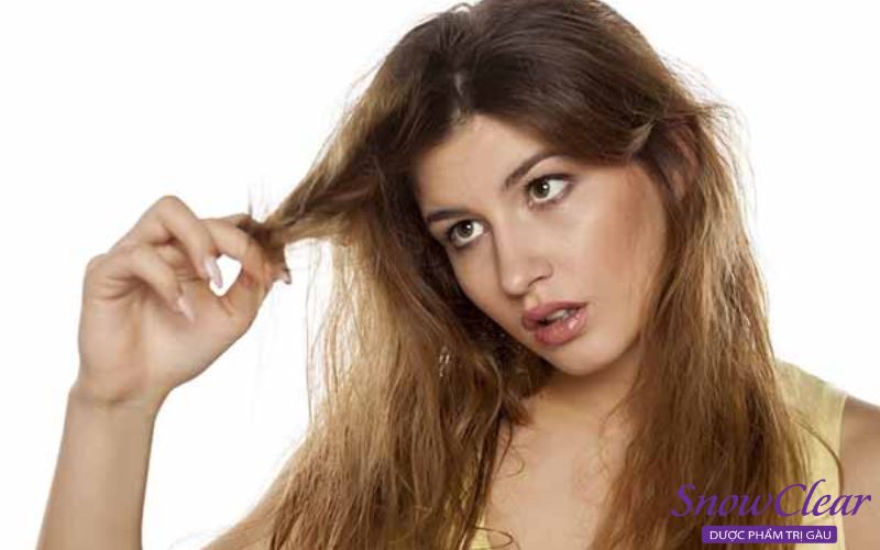 Nguyên nhân tóc uốn bị xù do chất tóc yếu