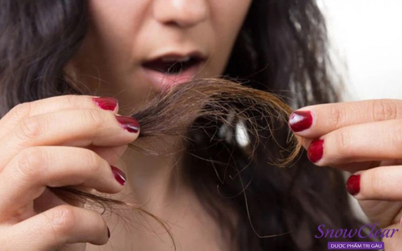  Cắt bỏ phần tóc khi có dấu hiệu hư tổn