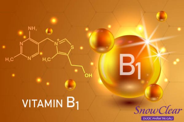 Sử dụng Vitamin B1