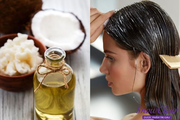 Cách ủ tóc bằng dầu dừa nguyên chất 