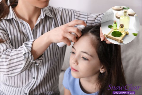 Sử dụng tinh dầu tràm trà kháng viêm cho đầu có chấy