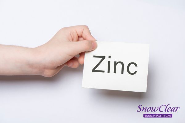 Dầu gội trị viêm da tiết bã ở đầu cần chứa Kẽm Pyrithione (Zinc)
