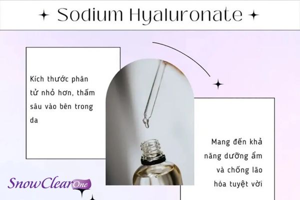 Với kích thước phần tử nhỏ nên sodium hyalutonate thẩm thấu tốt và sâu 