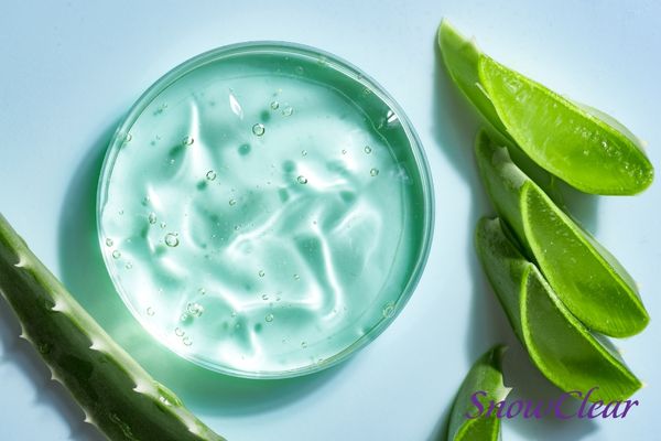 Aloe vera trong mỹ phẩm có công dụng giúp dưỡng ẩm rất tốt cho da