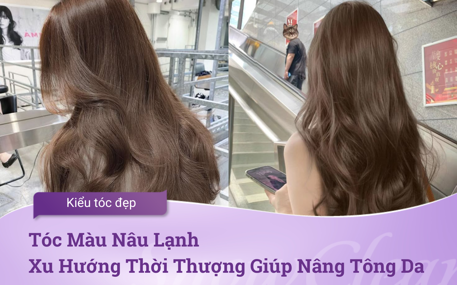 Tóc Màu Nâu Lạnh: Xu Hướng Thời Thượng Giúp Nâng Tông Da