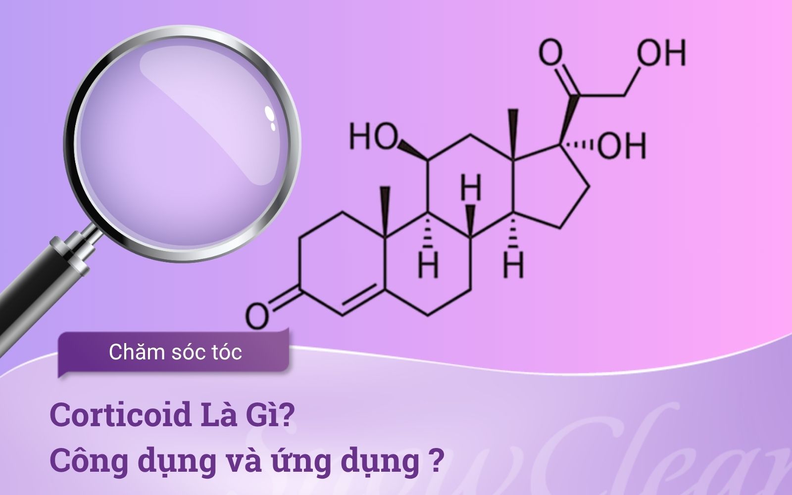 Corticoid Là Gì? Công dụng và ứng dụng ?