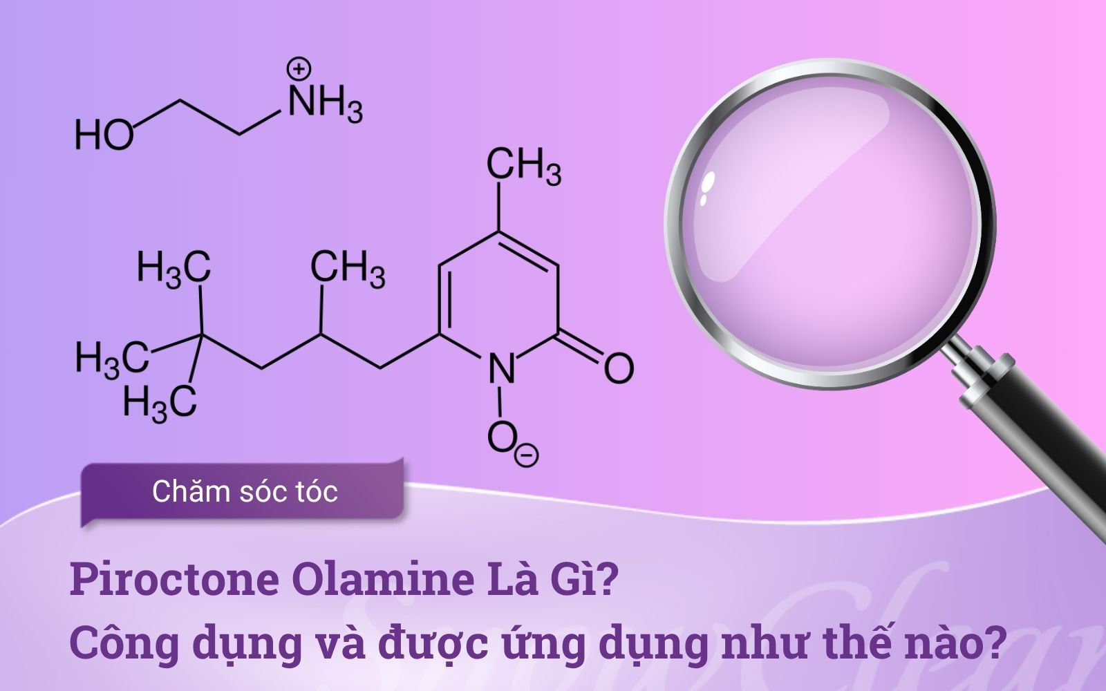 Piroctone Olamine Là Gì? Công dụng gì và được ứng dụng như thế nào?