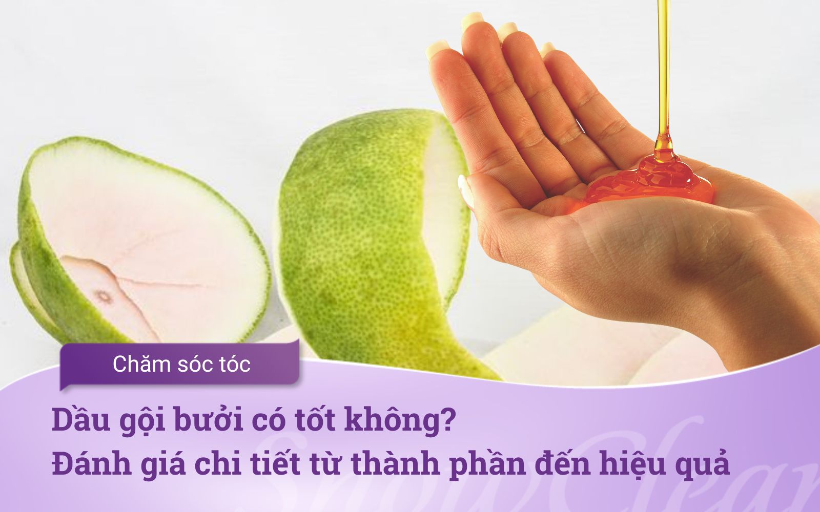 Dầu gội bưởi có tốt không? Đánh giá chi tiết từ thành phần đến hiệu quả