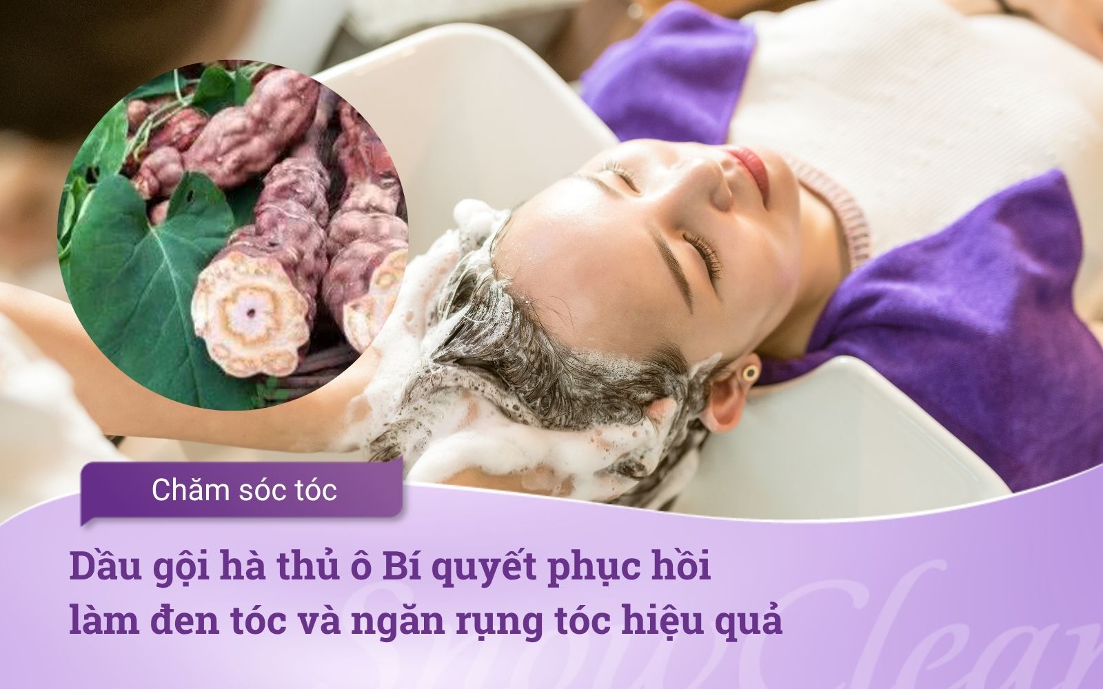 Dầu gội hà thủ ô Bí quyết phục hồi, làm đen tóc và ngăn rụng tóc hiệu quả