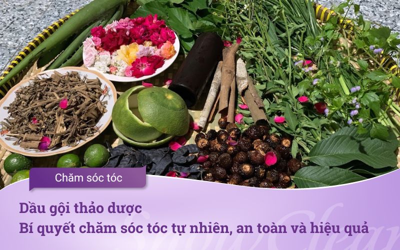Dầu gội thảo dược Bí quyết chăm sóc tóc tự nhiên, an toàn và hiệu quả
