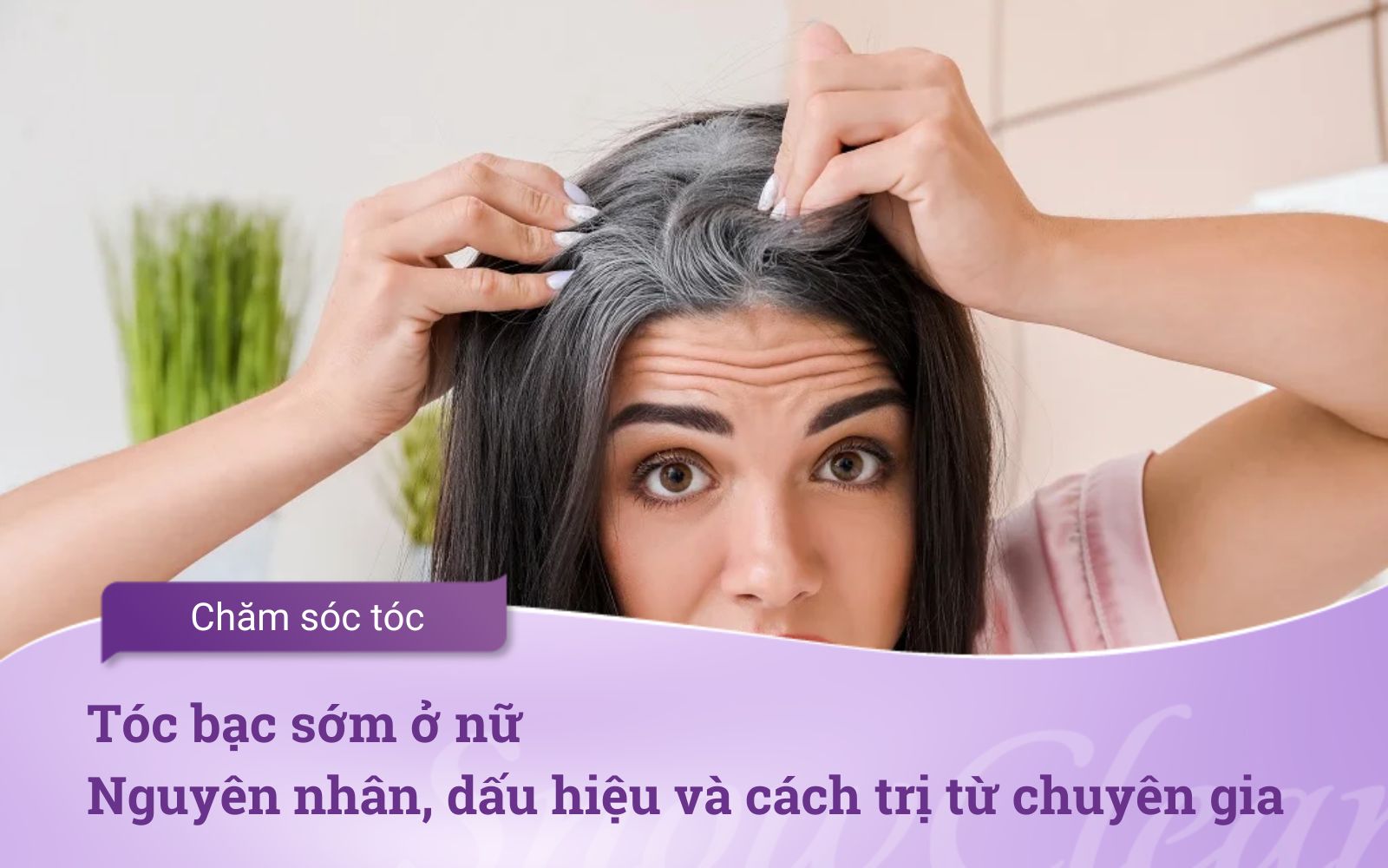 Tóc bạc sớm ở nữ Nguyên nhân, dấu hiệu và cách trị từ chuyên gia