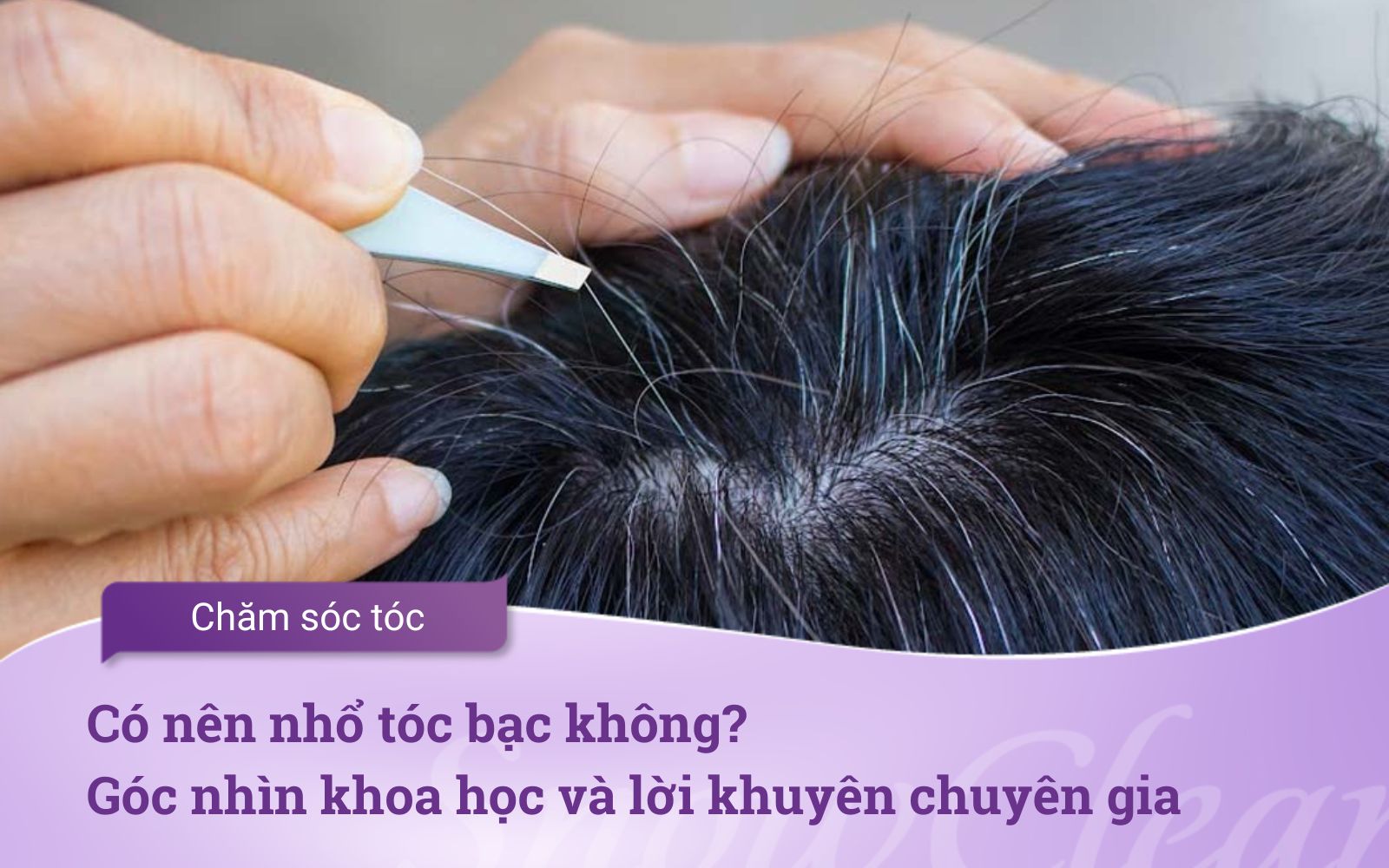 Có nên nhổ tóc bạc không? Góc nhìn khoa học và lời khuyên chuyên gia
