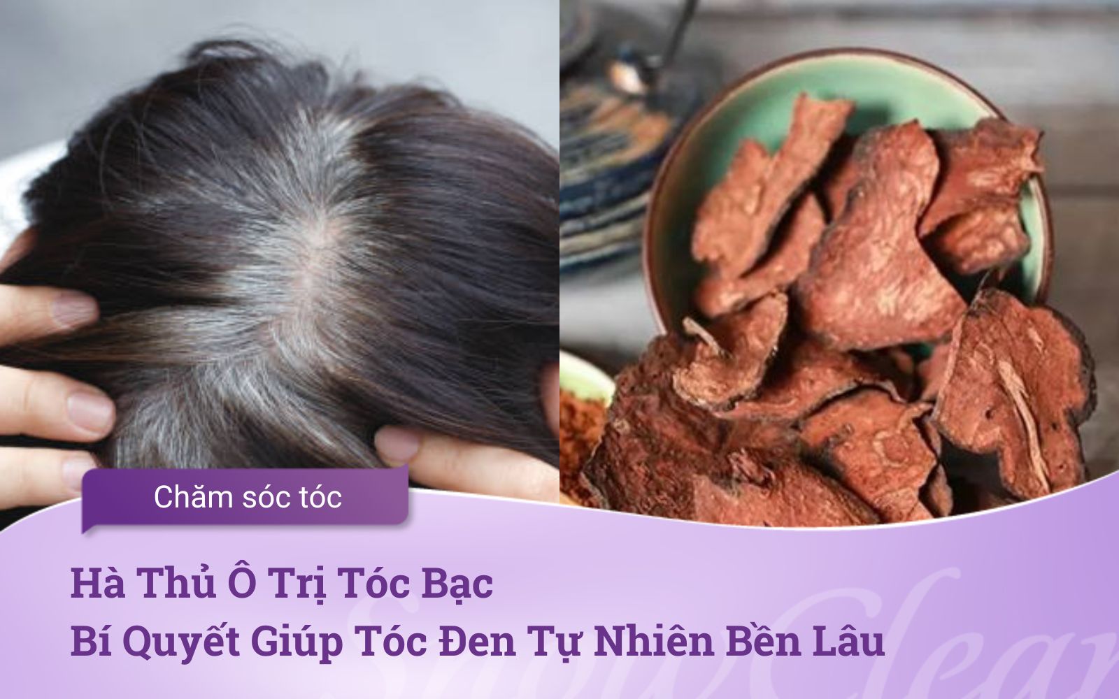 Hà Thủ Ô Trị Tóc Bạc: Bí Quyết Giúp Tóc Đen Tự Nhiên Bền Lâu